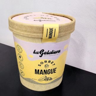 sorbet vegan mangue
